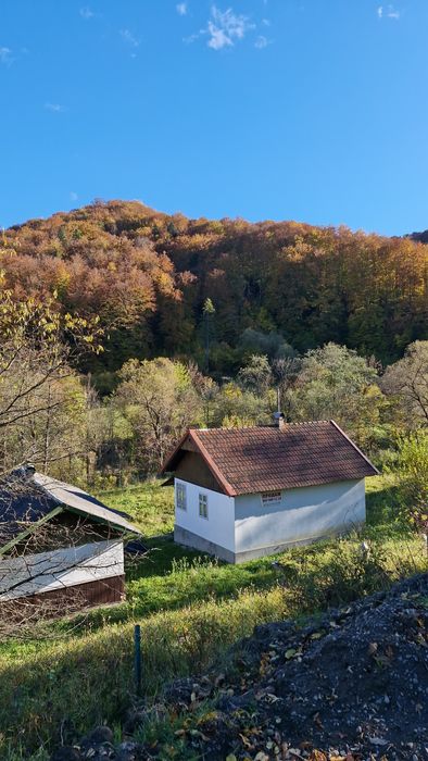 Будинок в Карпатах