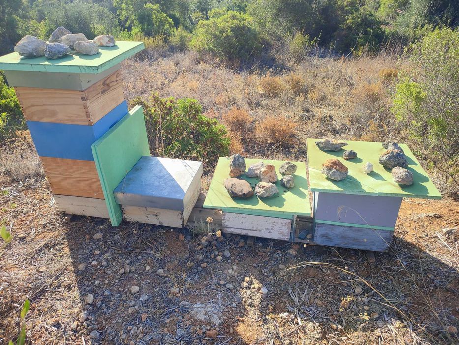 Material Apícola Reversível Usado – 4 Caixas com 10 Quadros Cada