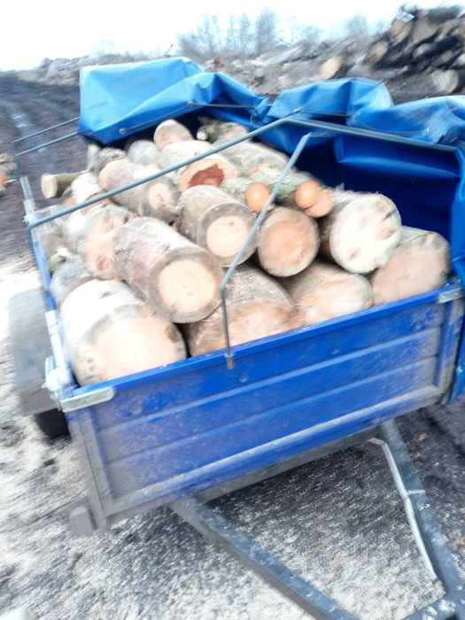 Дрова сухі 500грн куб