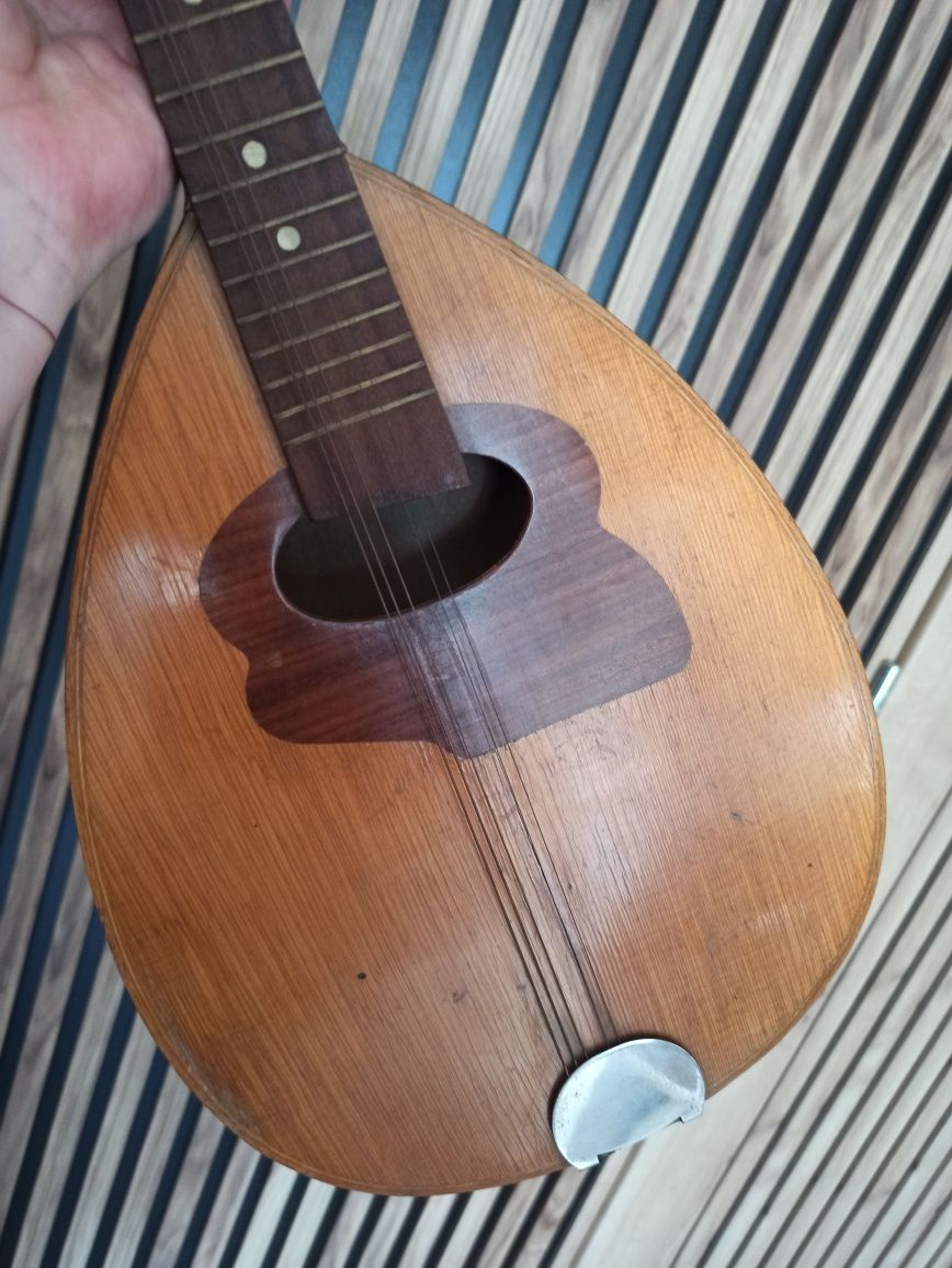 Mandolina instrument muzyczny