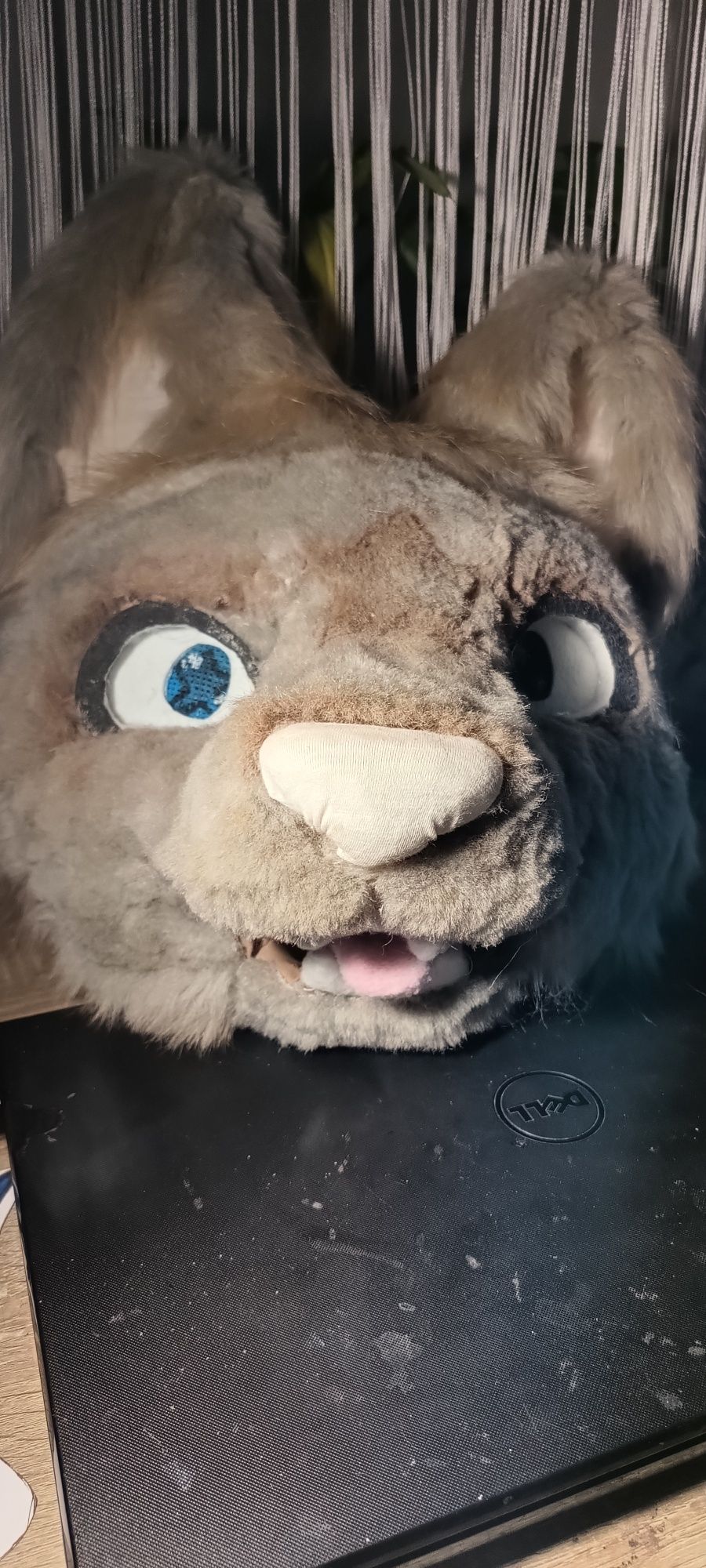 Fursuit head shaza