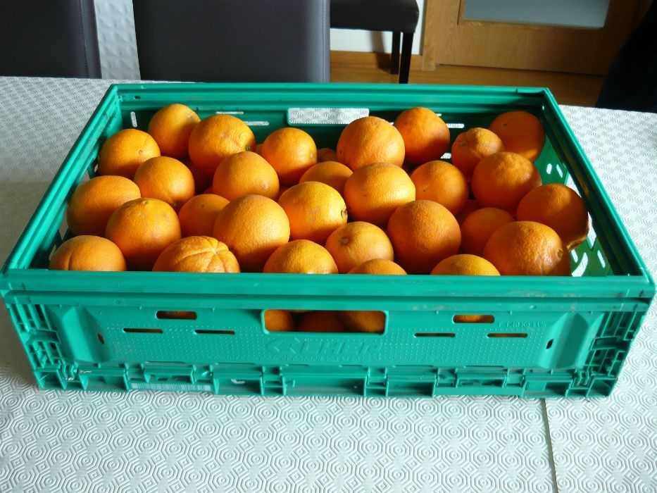 Cabaz de fruta - Laranja - do Pinhão - Região do Douro