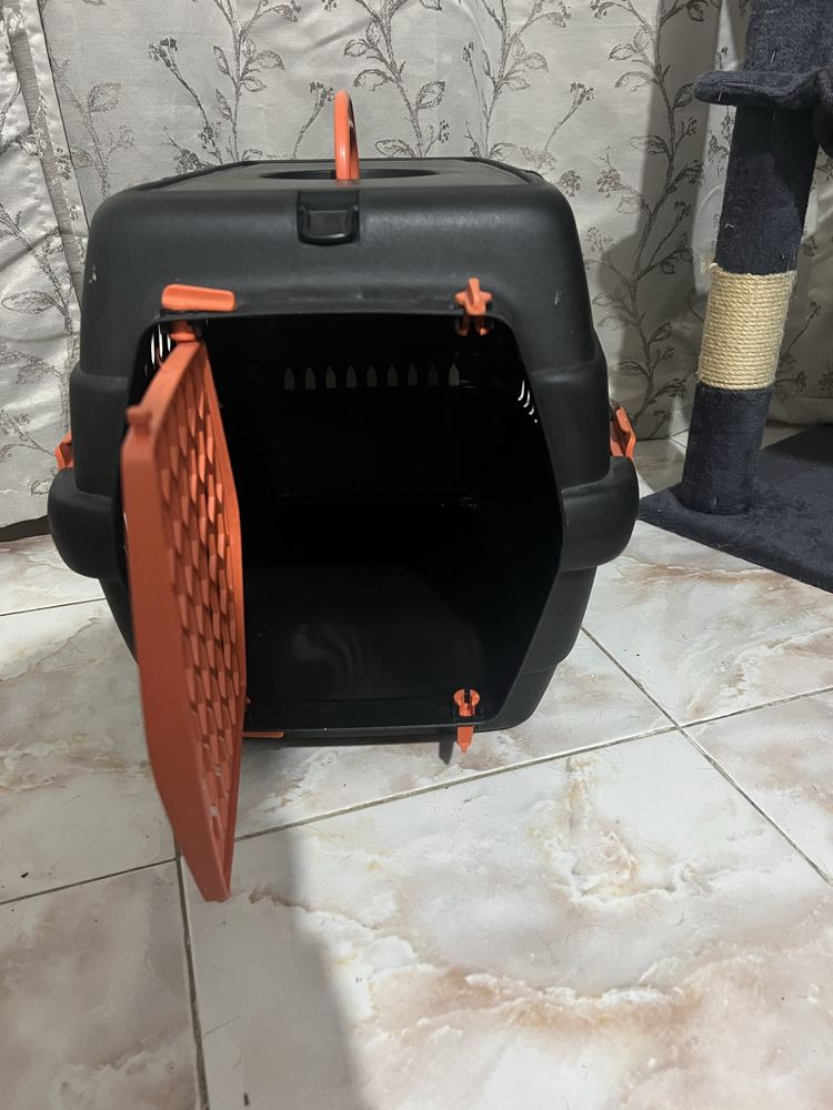 Vendo conjunto todo