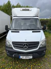 Mercedes-Benz Sprinter Mercedes 516 bliźniak chłodnia