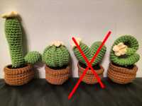 Kaktus na szydełku kaktus w doniczce