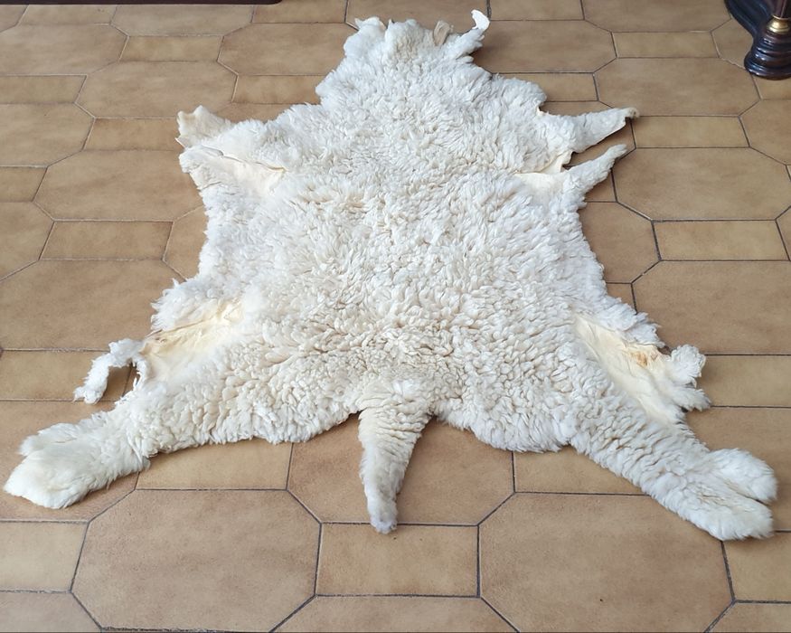 Pele de ovelha cortida