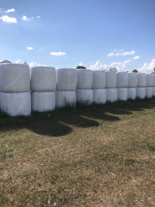 Sianokiszonka pierwszy pokos 2025. Cena z transportem