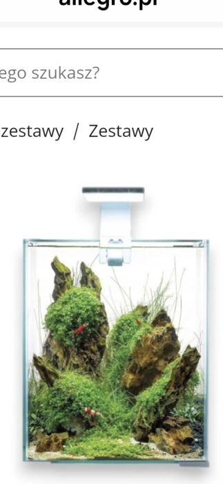Akwarium gggggvvv