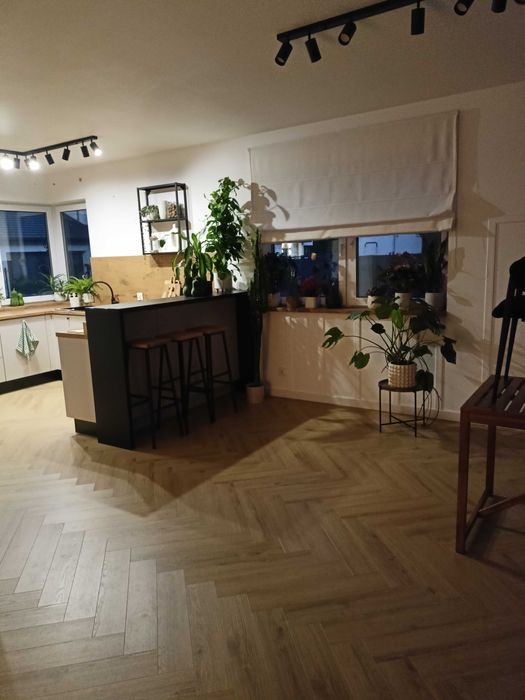 sprzedam dom Michałów Reginów 180 m z garażem