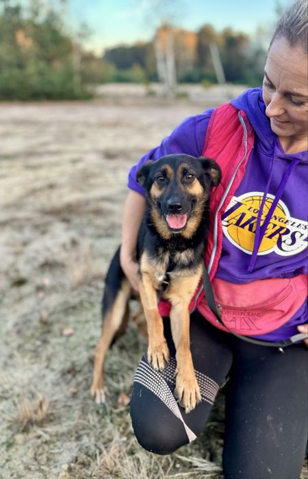 8 kg Gacuś do adopcji! Mikro owczarek, super pies!