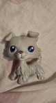 LPS Littlest Pet Shop collie #363