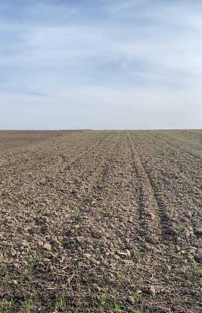 Продаж земельної ділянки біля Львова