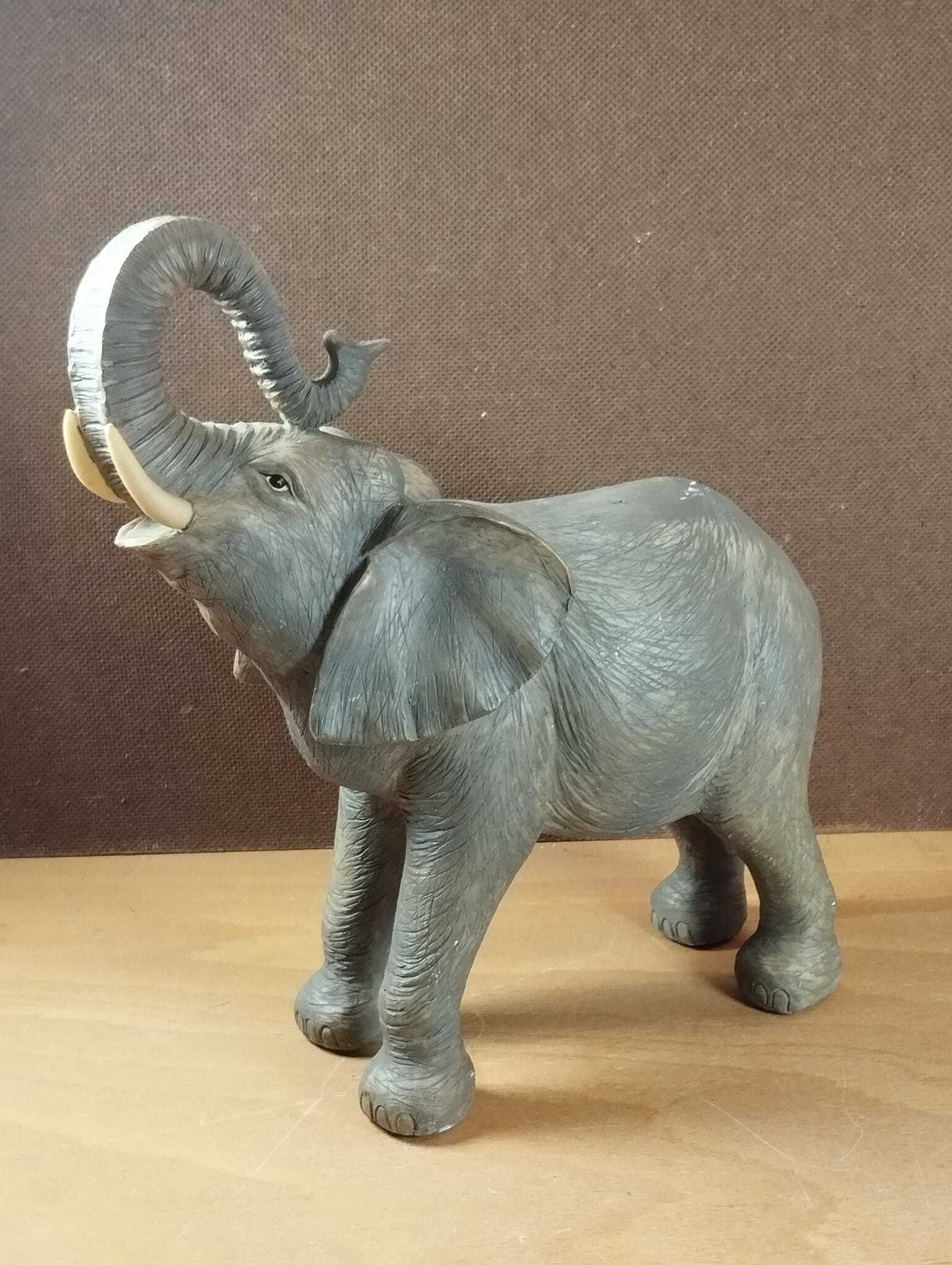 Elefante com Grande Detalhe