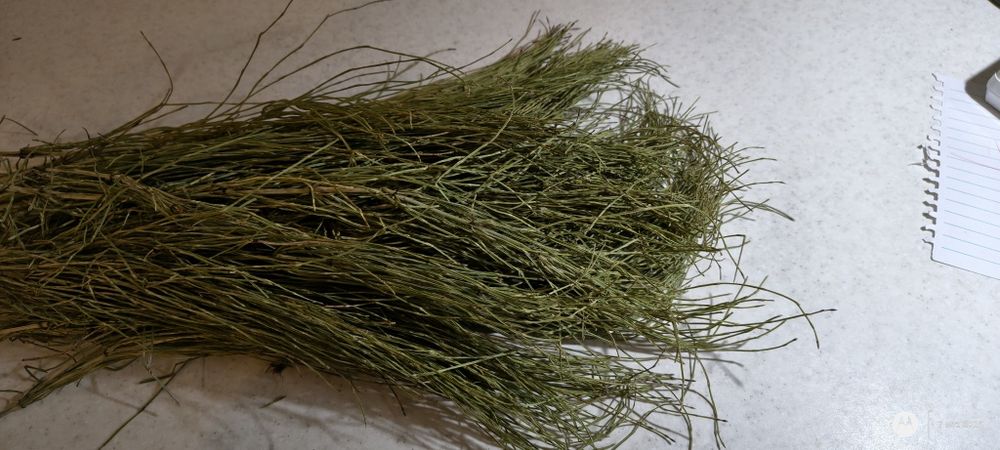 Skrzyp polny suszony ekologiczny 50g.