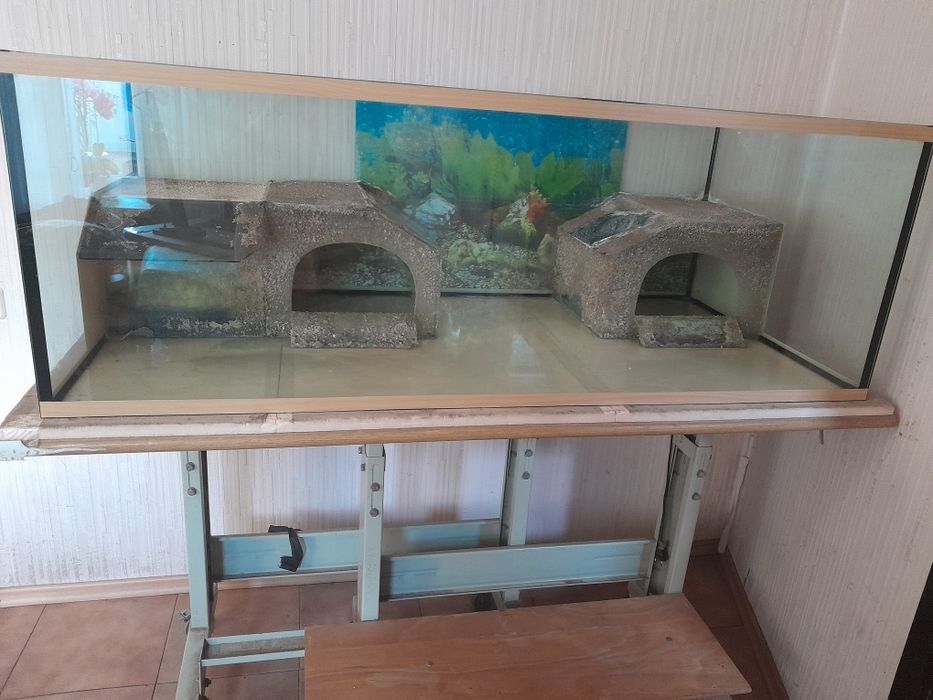 Большой аквариум-терариум.