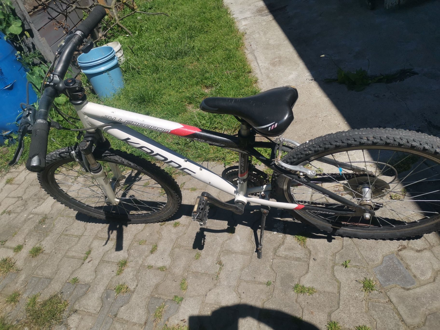 Rower Kands 24 całe
