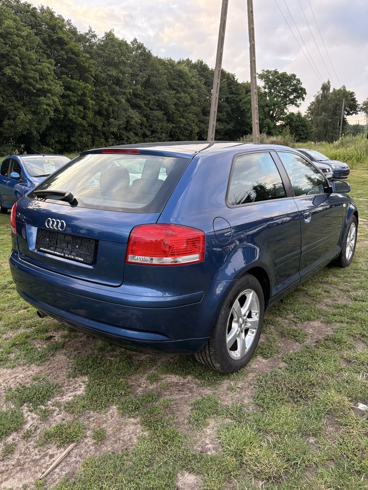 Audi A3 8P 1.6 MPI 2003 ROK Klima ! Polecam
