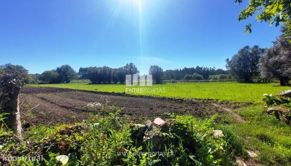 Venda de terreno agrícola, Alvarães, Viana do Castelo