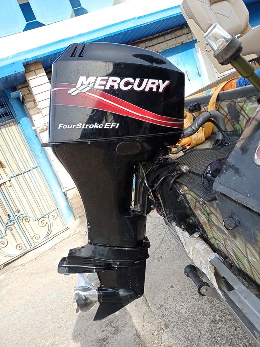 Крым 3, Mercury 60, minn kota, LOWRANCE