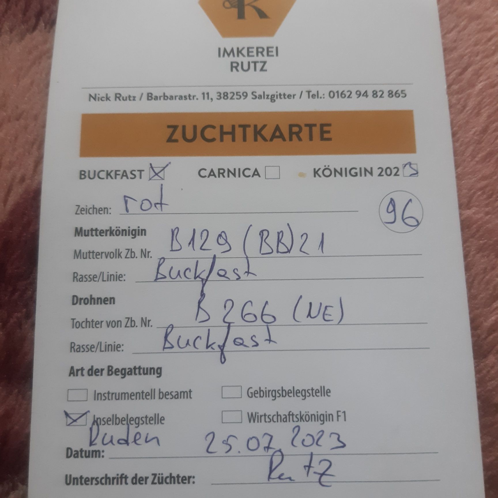 Пчеломатки Бакфаст Одесса