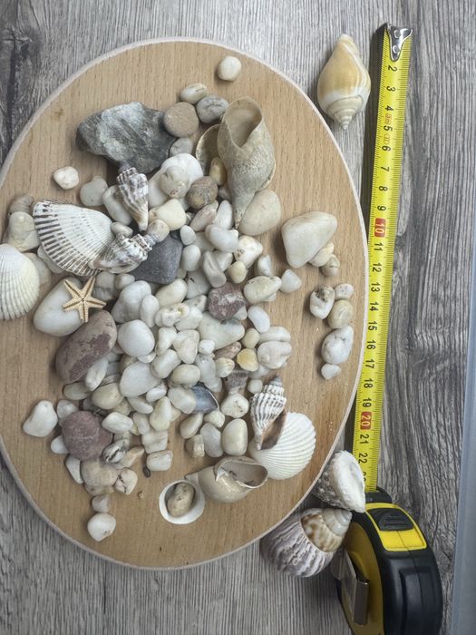 Камінчики та мушлі( ракушки) для акваріума чи декору.