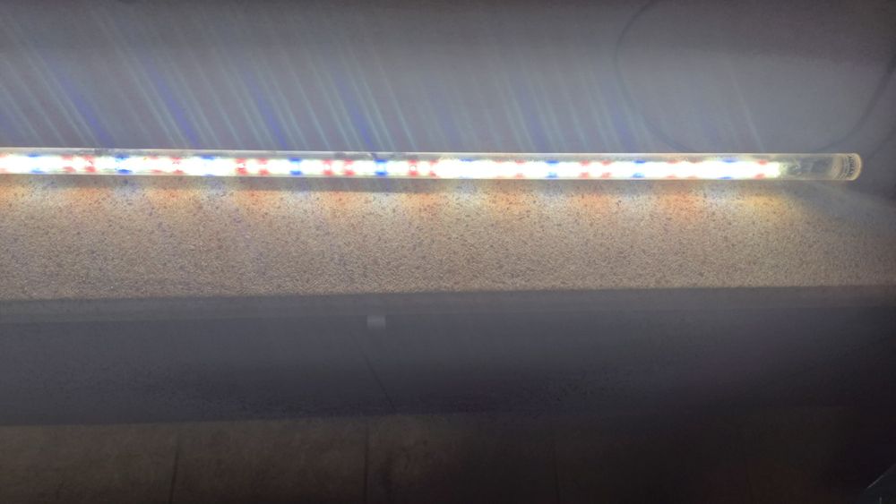 Oświetlenie do akwarium