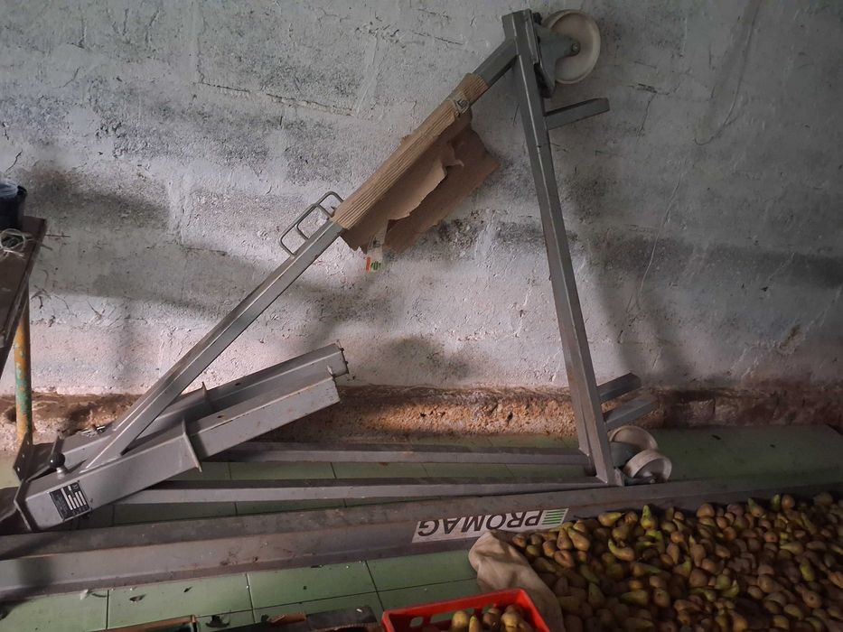 Suwnica mobilna, bramowa PROMAG 500 kg.