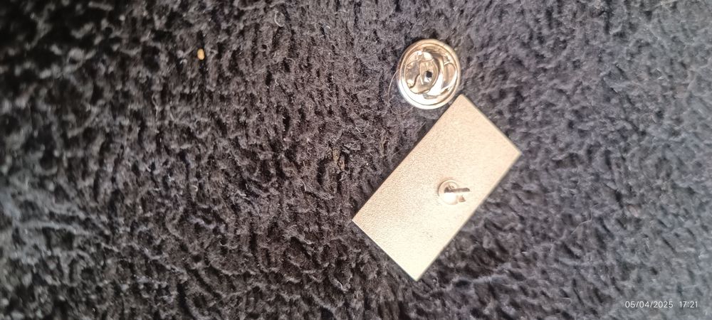 Pin 15 Anos Star Alliance