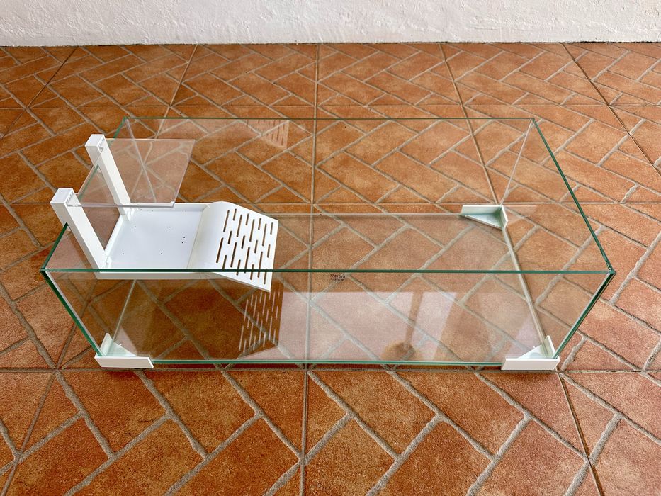 Tartarugueira vidro