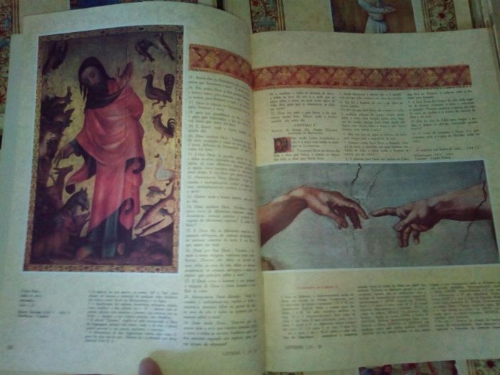 Biblia Mais Bela do Mundo Fasciculos Anos 60 Completa