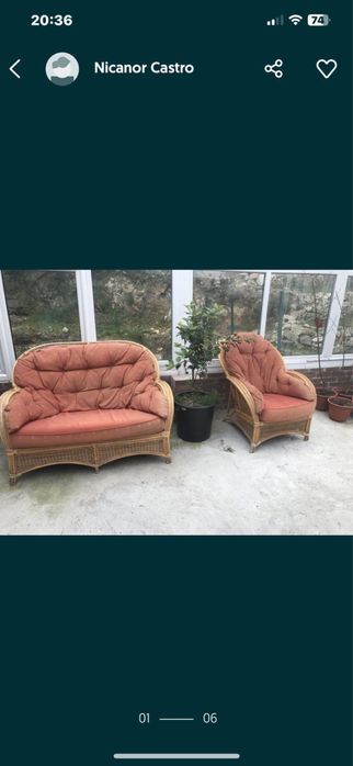 Grupo estofado em cana da india