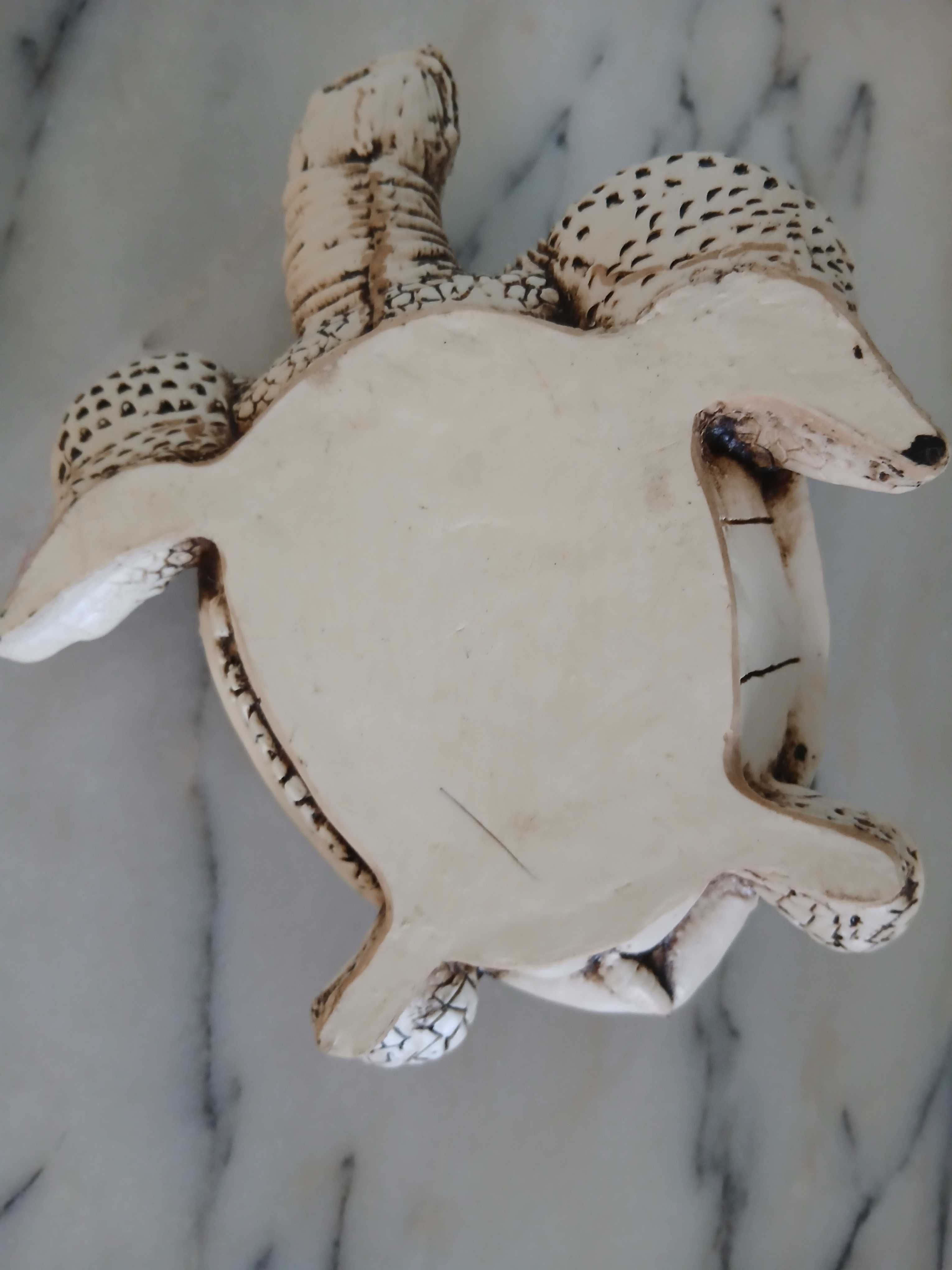 Tartaruga Decorativa comprada no México