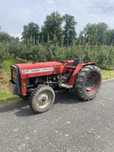 Massey Ferguson MF 247V 3cyl 47km sadowniczy 120cm gruby most 135, 255
