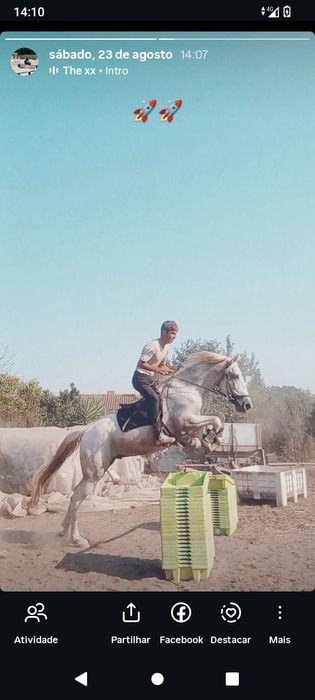 Cavalo bem  montado sem medos e engatado manso