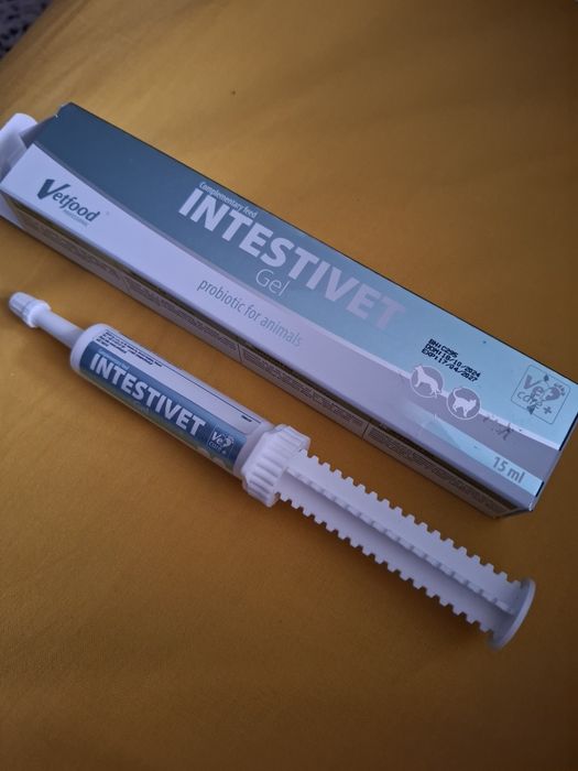 Intestivet probiotyk