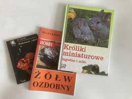 Mini poradniki - trzy książeczki: o żółwiach, rybkach i królikach!