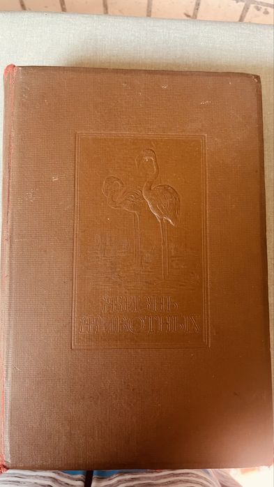 Брем Жизнь животных» 1931