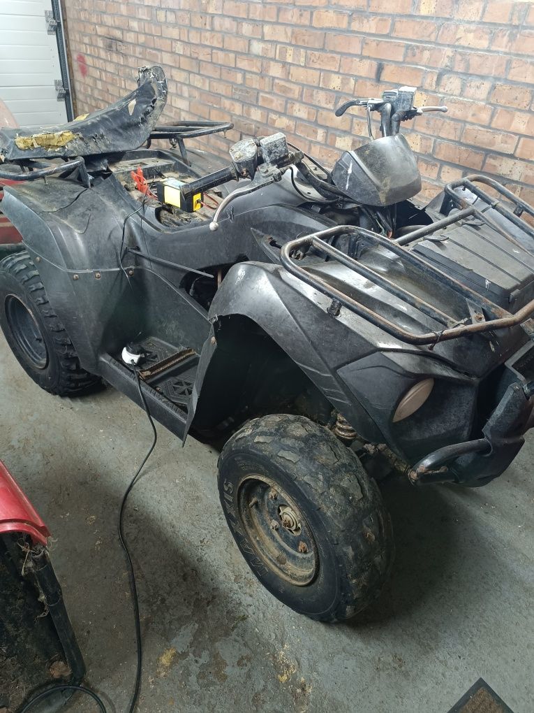 Kawasaki 300 Bruce Force 2019