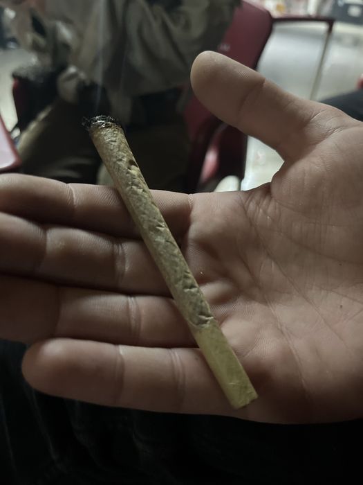 Tarolo de lenha verde woodstock 69