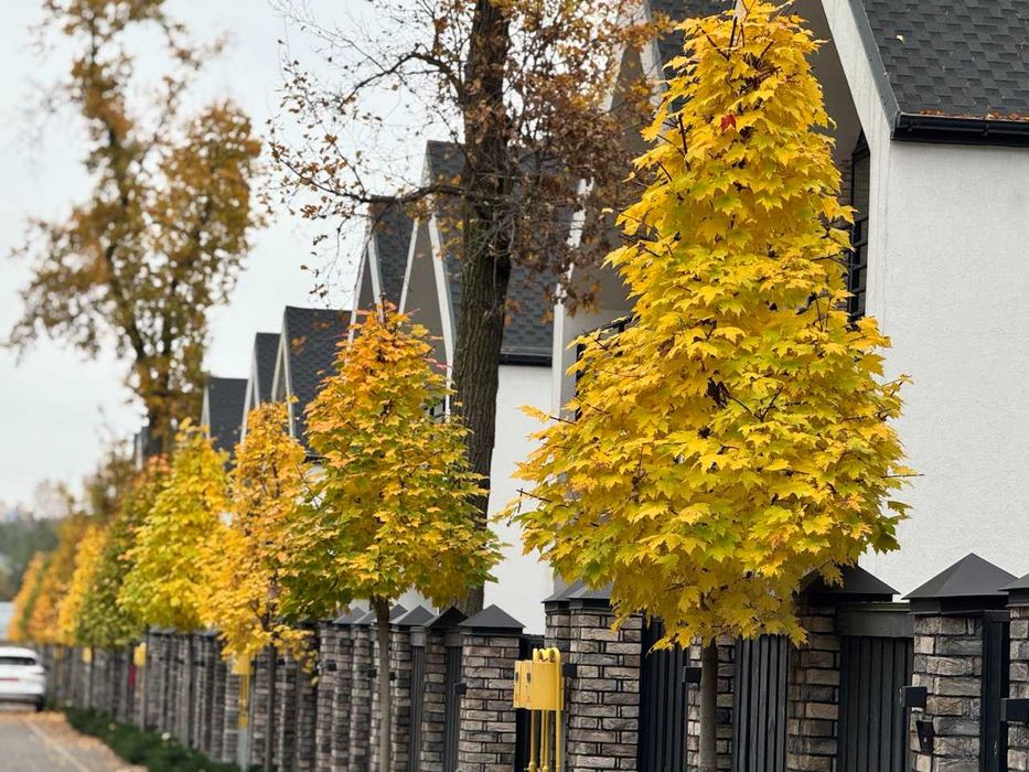 КМ "Паркова Резиденція"|центр Бучі|Поряд з лісом| Розтермінування