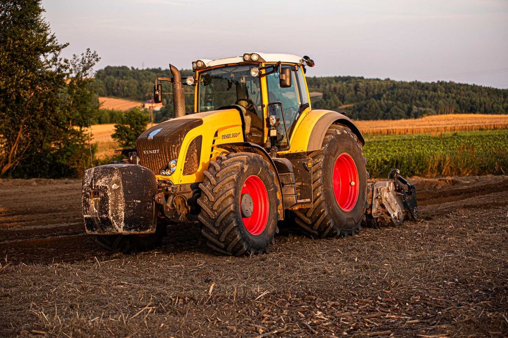 Wycinka Drzew, Mulczowanie, Frezowanie, Karczowanie