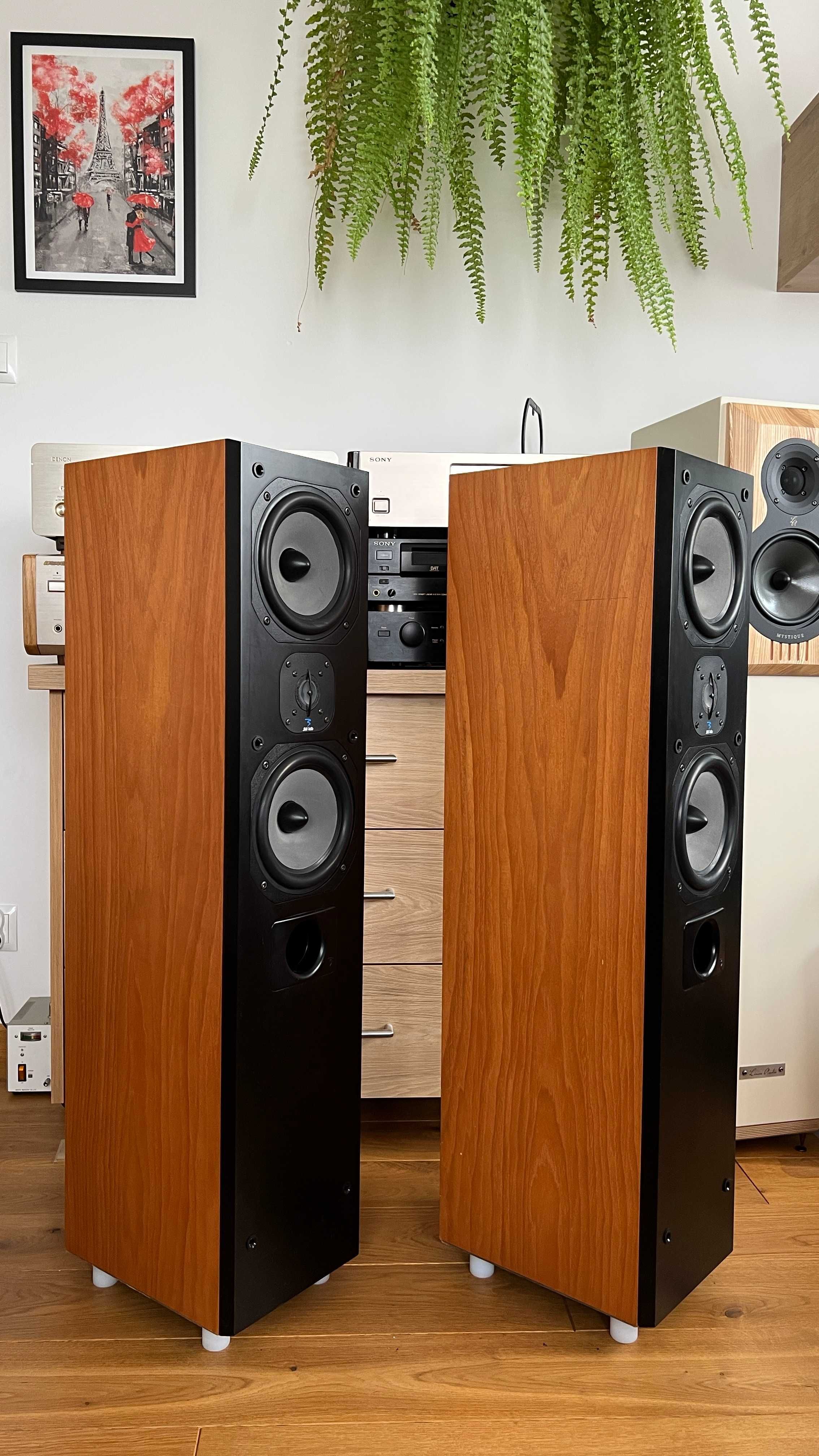 Kolumny podłogowe Focal JM Lab Cobalt 815