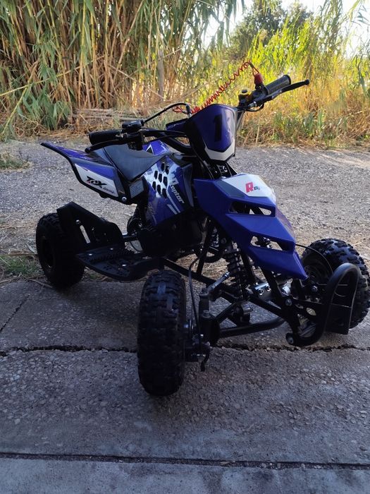 Mini moto 4 Raptor