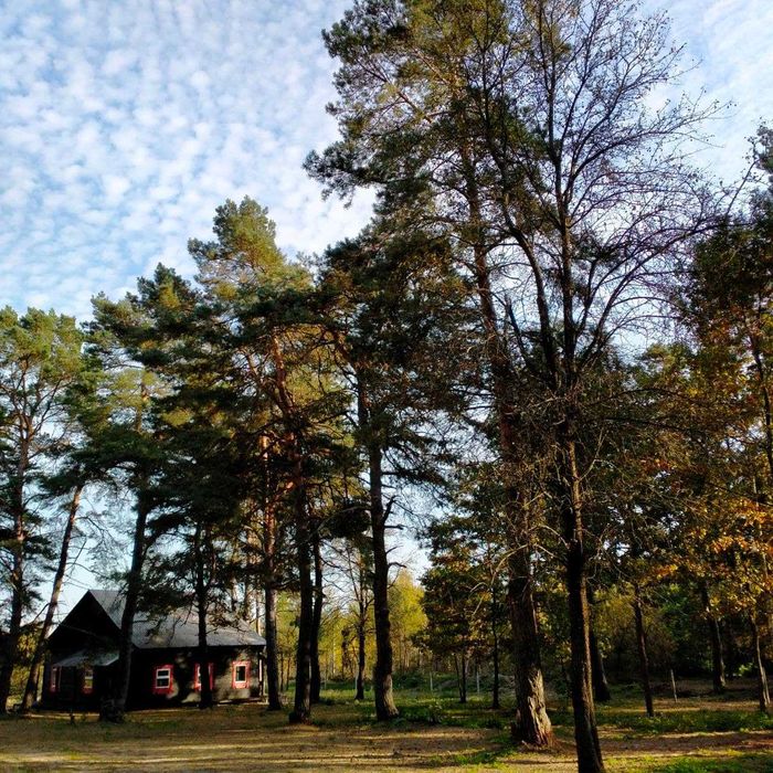 Подобова оренда будиночків біля озера Нобель