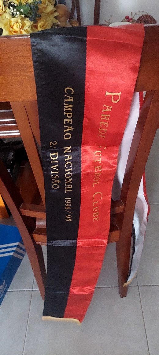 Cachecol campeao segunda divisao