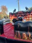 Byk rodeo wynajem