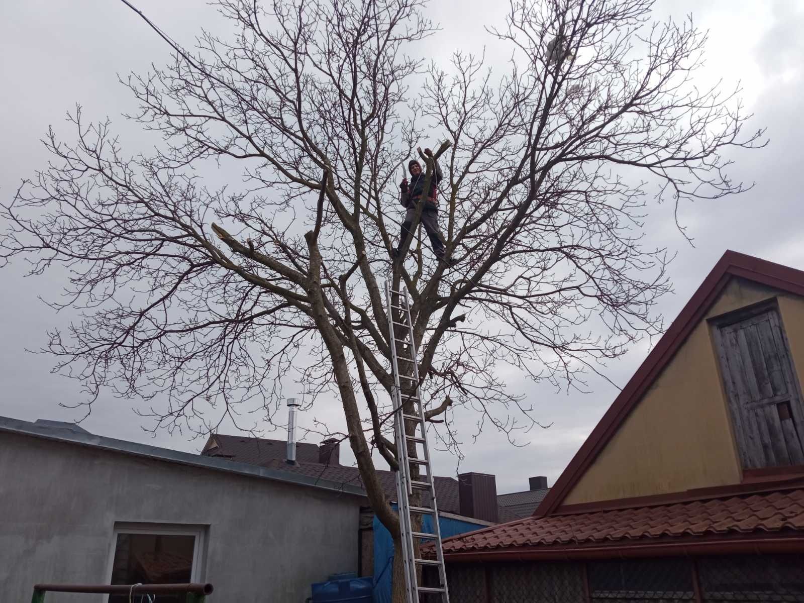 Косіння трави, догляд за газоном та садом