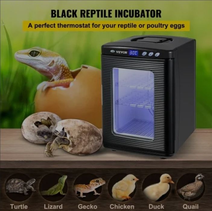 Incubadora de Répteis