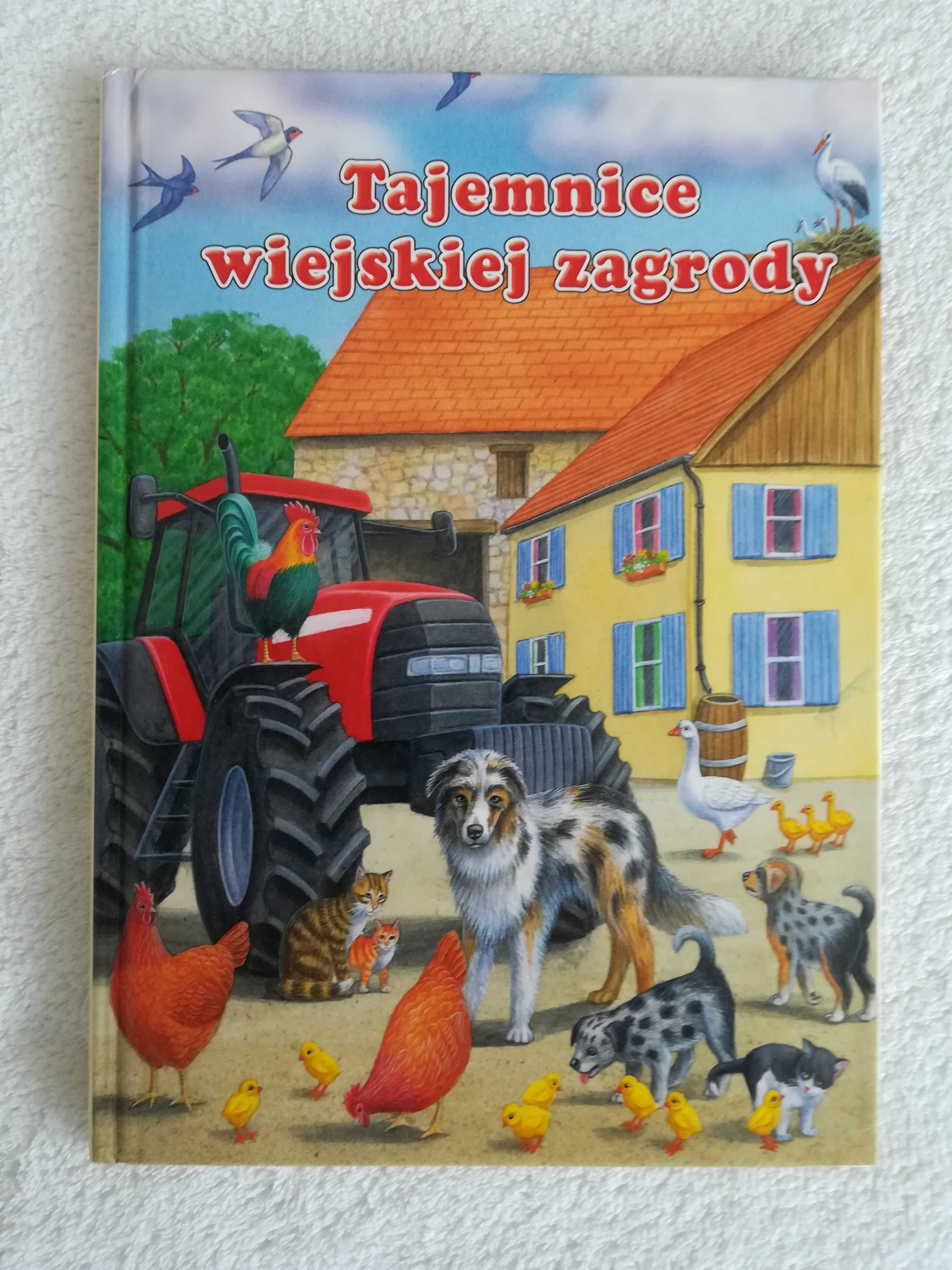 Książka dla dzieci. Tajemnice wiejskiej zagrody