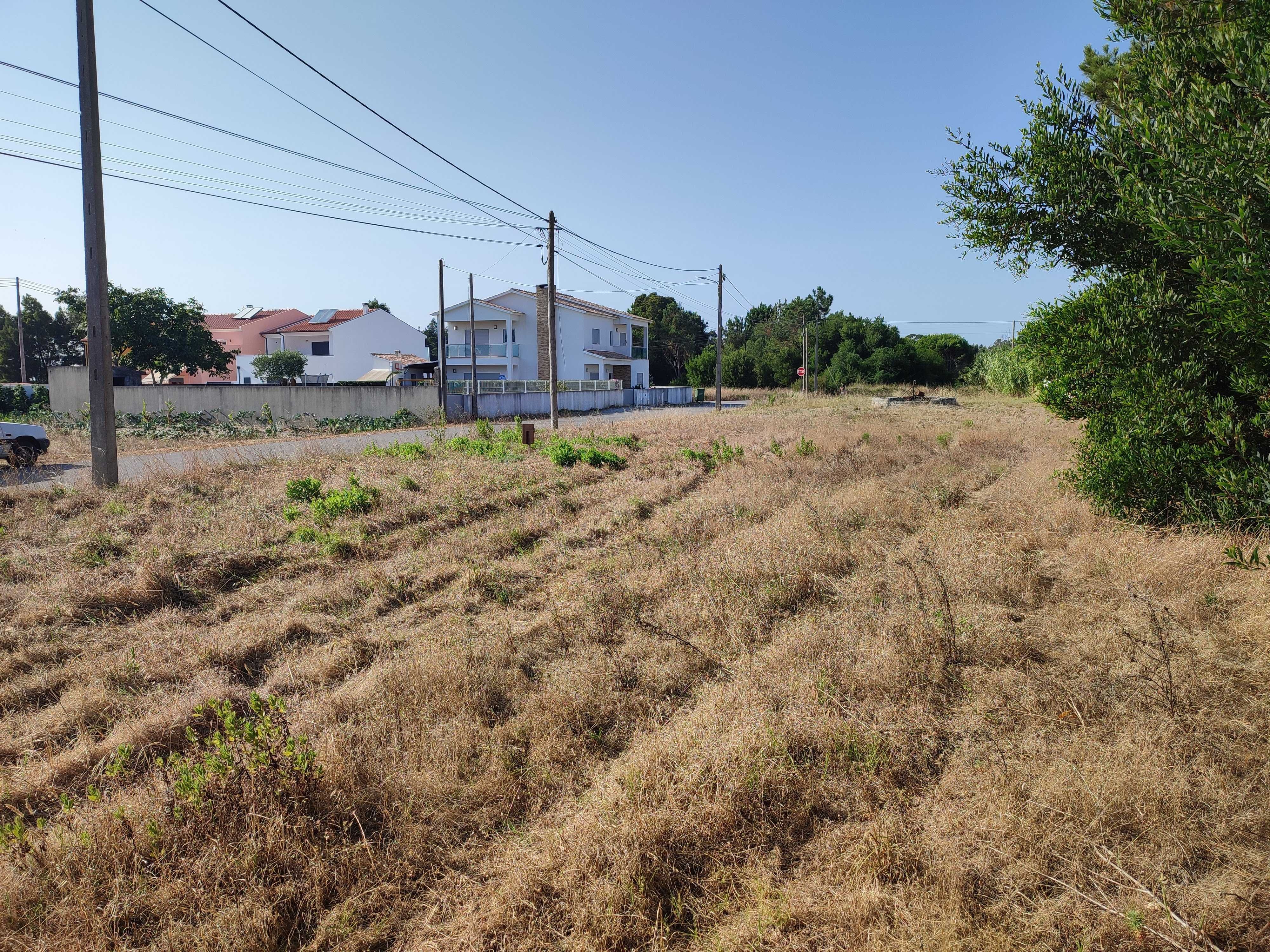 Terreno para Construção no Centro de Mira